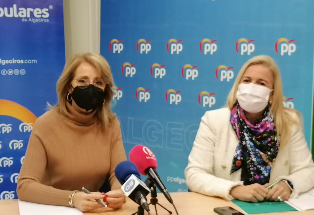 Pintor Y Pajares Acusan Al Psoe De Utilizar La Sanidad Para Hacer