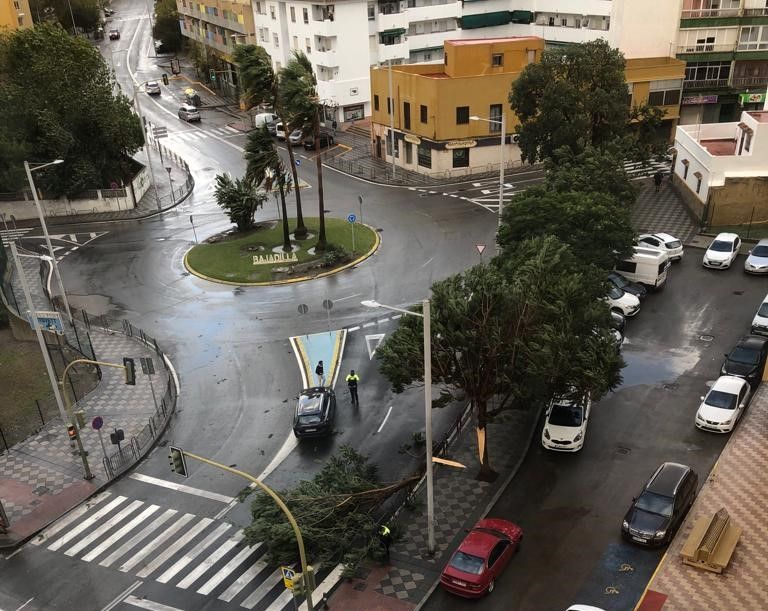 La Ca Da De Un Rbol Provoca El Corte De La Carretera C Diz M Laga A Su