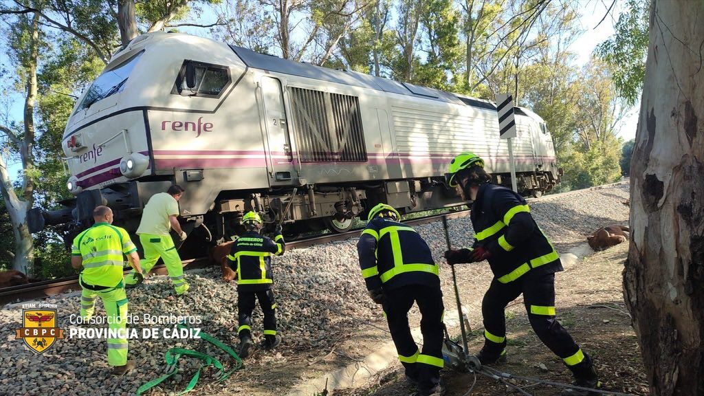 La línea ferroviaria Algeciras Madrid interrumpida por la colisión del