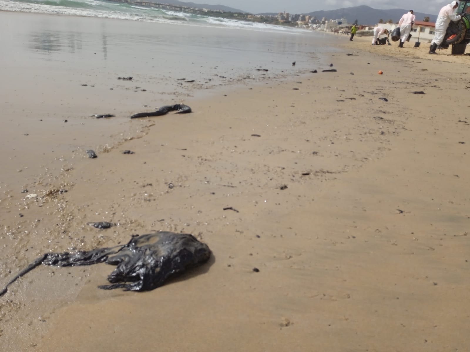 El 'OS35' vuelve a manchar las playas de la Bahía