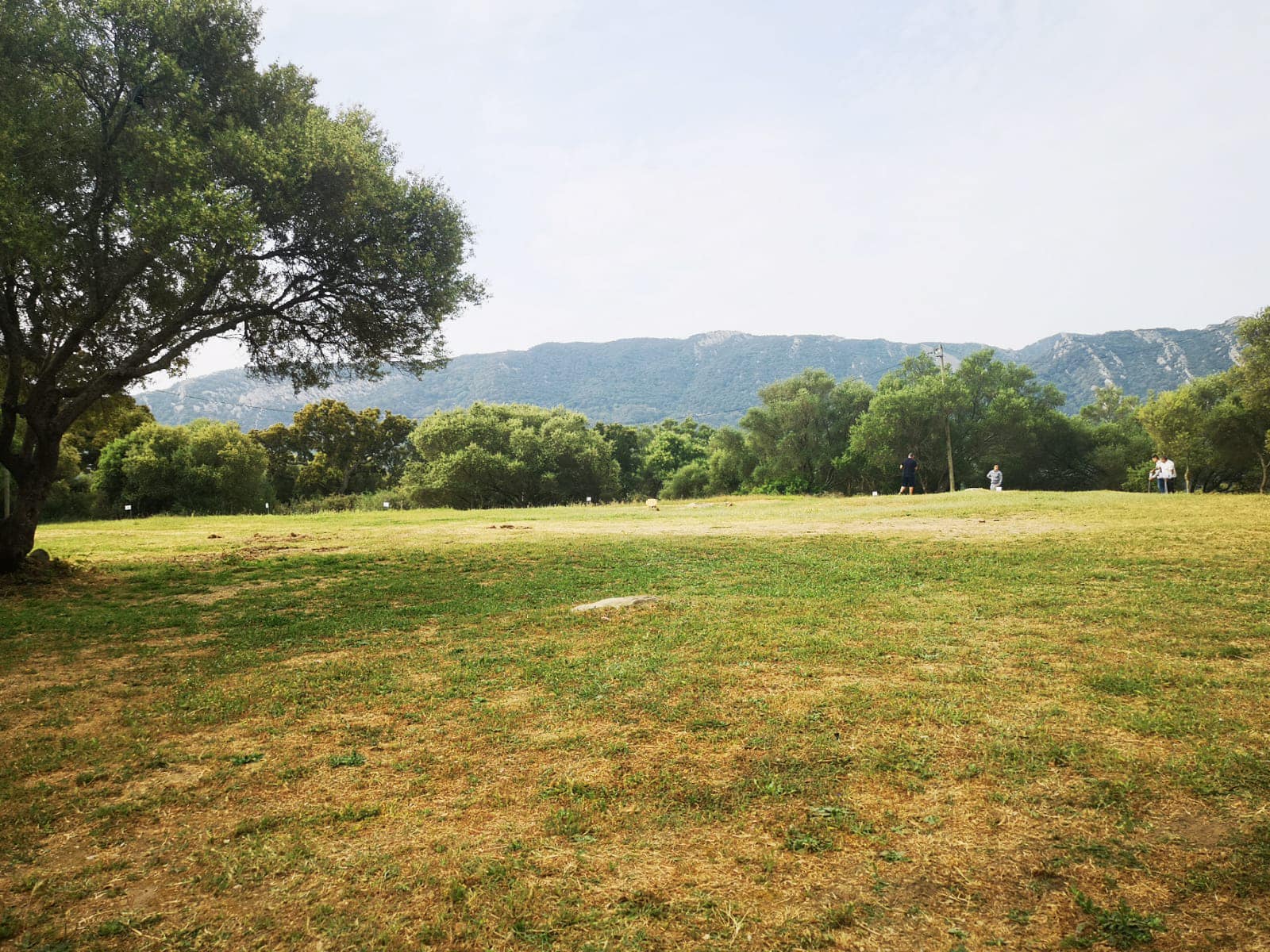 La Hermandad San Isidro estima que unas 8.000 personas asistirán a la Romería de Los Barrios