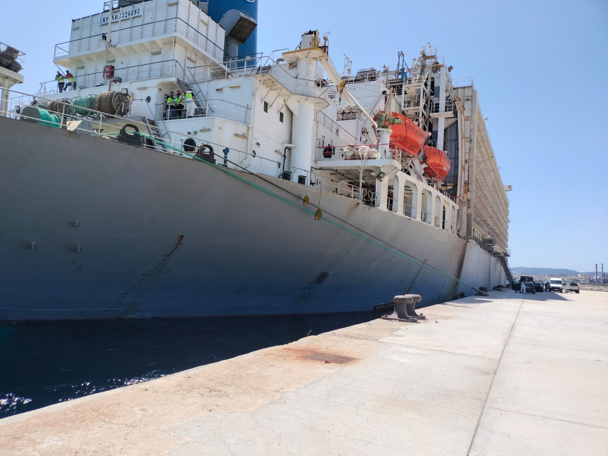 El barco cargado de ganado e intervenido por la Audiencia Nacional atraque en el recinto sanroqueño de Crinavis. 