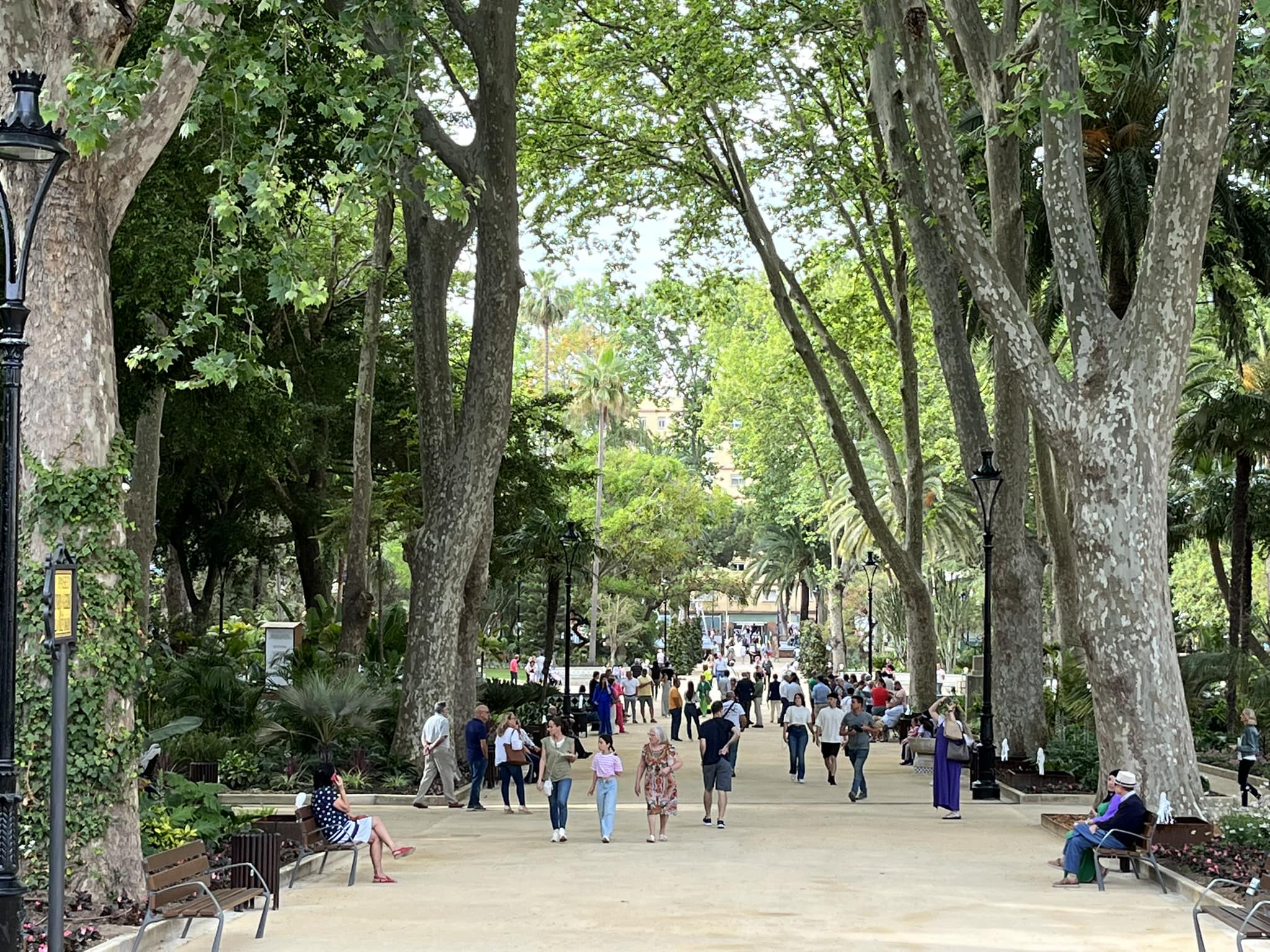 Parque María Cristina. Imagen de archivo. Foto: Francis Mena. Izquierda Unida pide al alcalde de Algeciras que cumpla las medidas de ahorro de agua