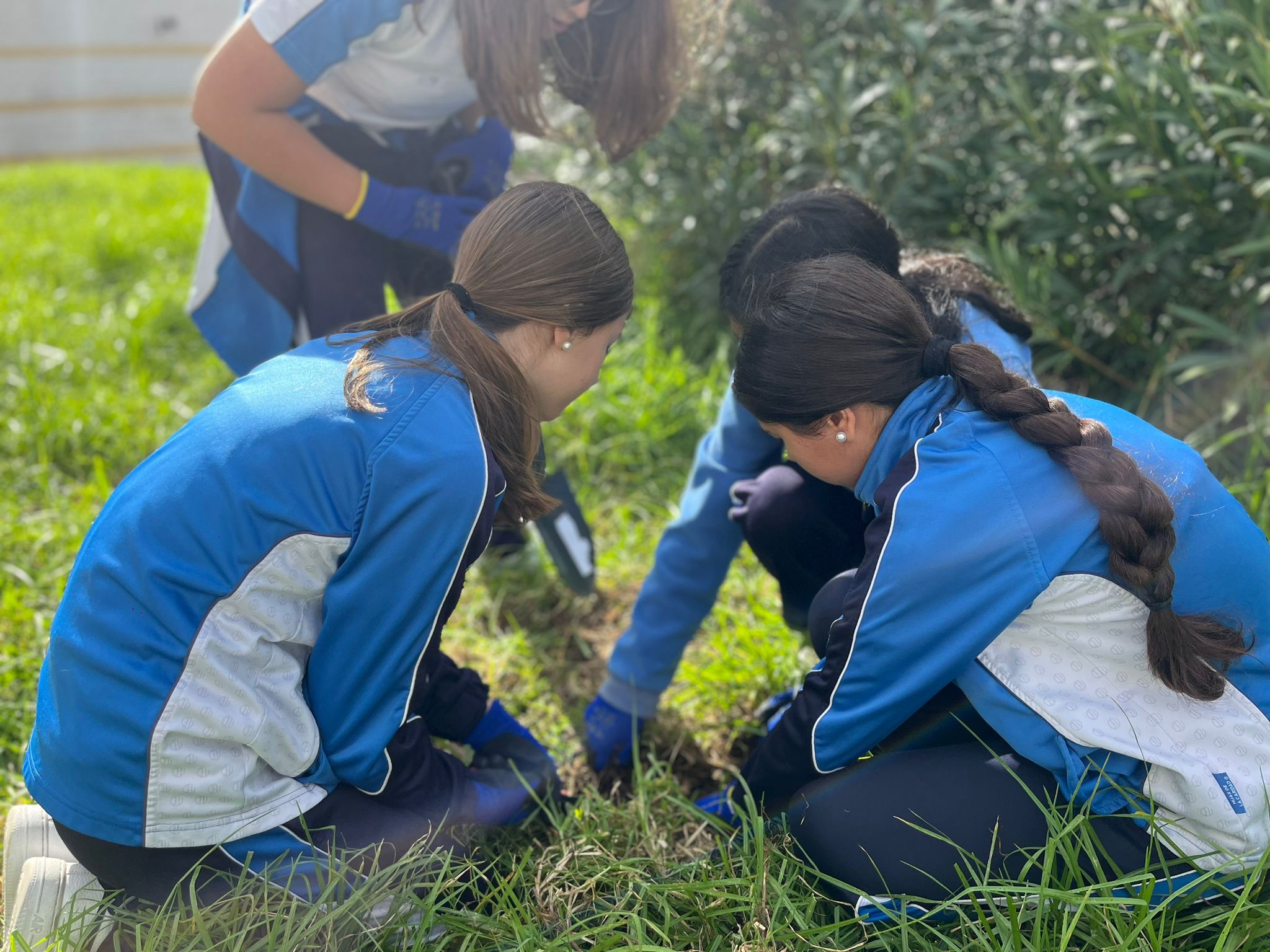 El colegio Huerta de la Cruz, elegido para realizar un proyecto internacional sobre la calidad del suelo.