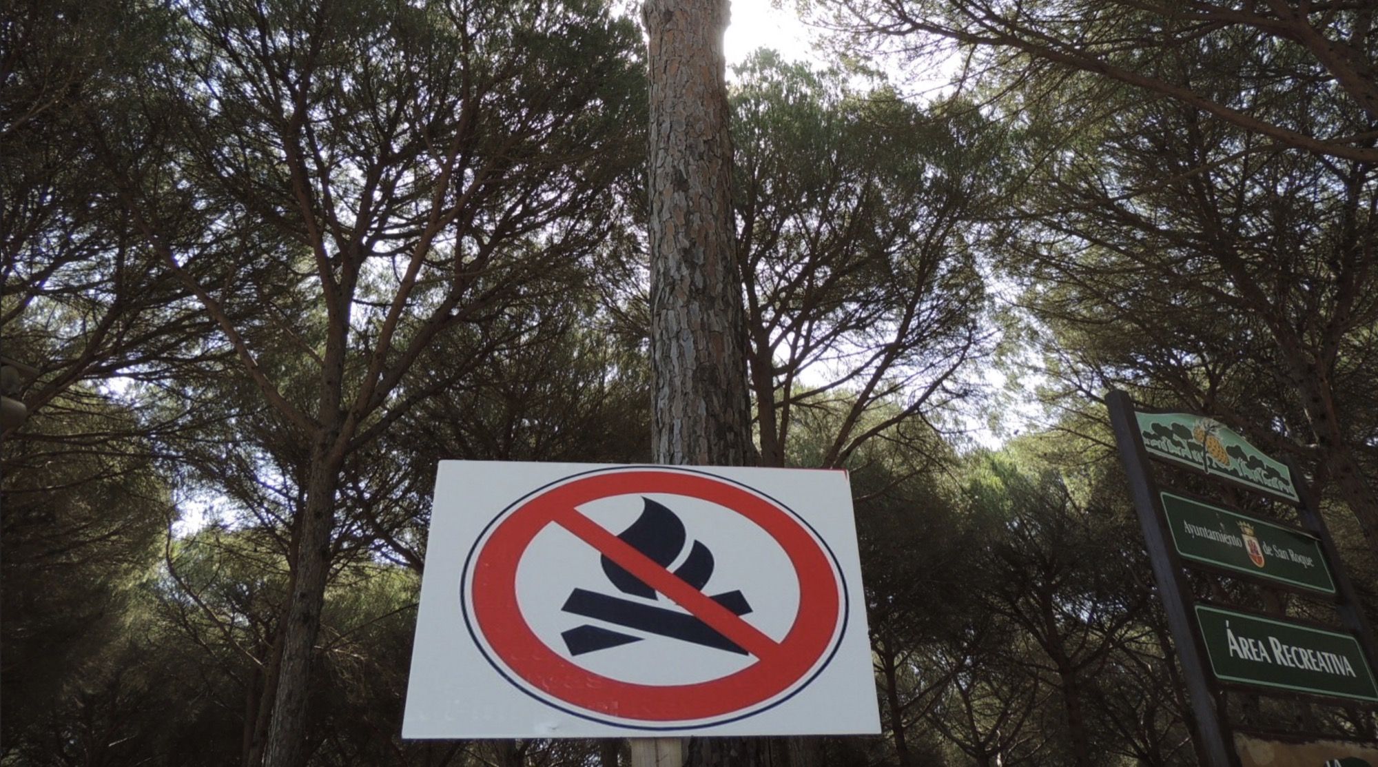 Este sábado entra en vigor la prohibición de encender fuego en el campo.