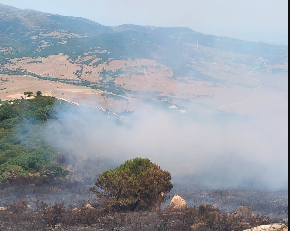 Continúa estabilizado el incendio en Tarifa donde trabajan 80 bomberos para su control