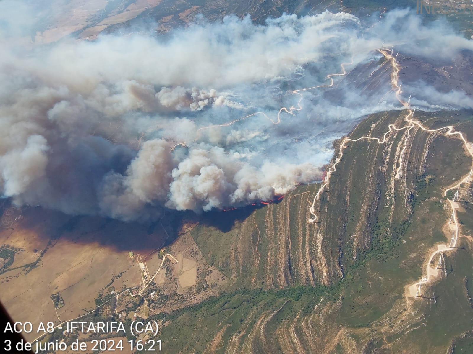 Extinguido el incendio de Tarifa declarado el pasado lunes. Foto: Infoca.