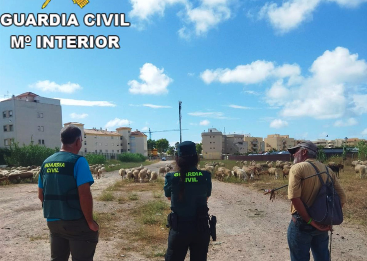 Dos agentes de la Guardia Civil con un ganadero. Desarticulado un entramado empresarial dedicado a las estafas en la compraventa de ganado ovino
