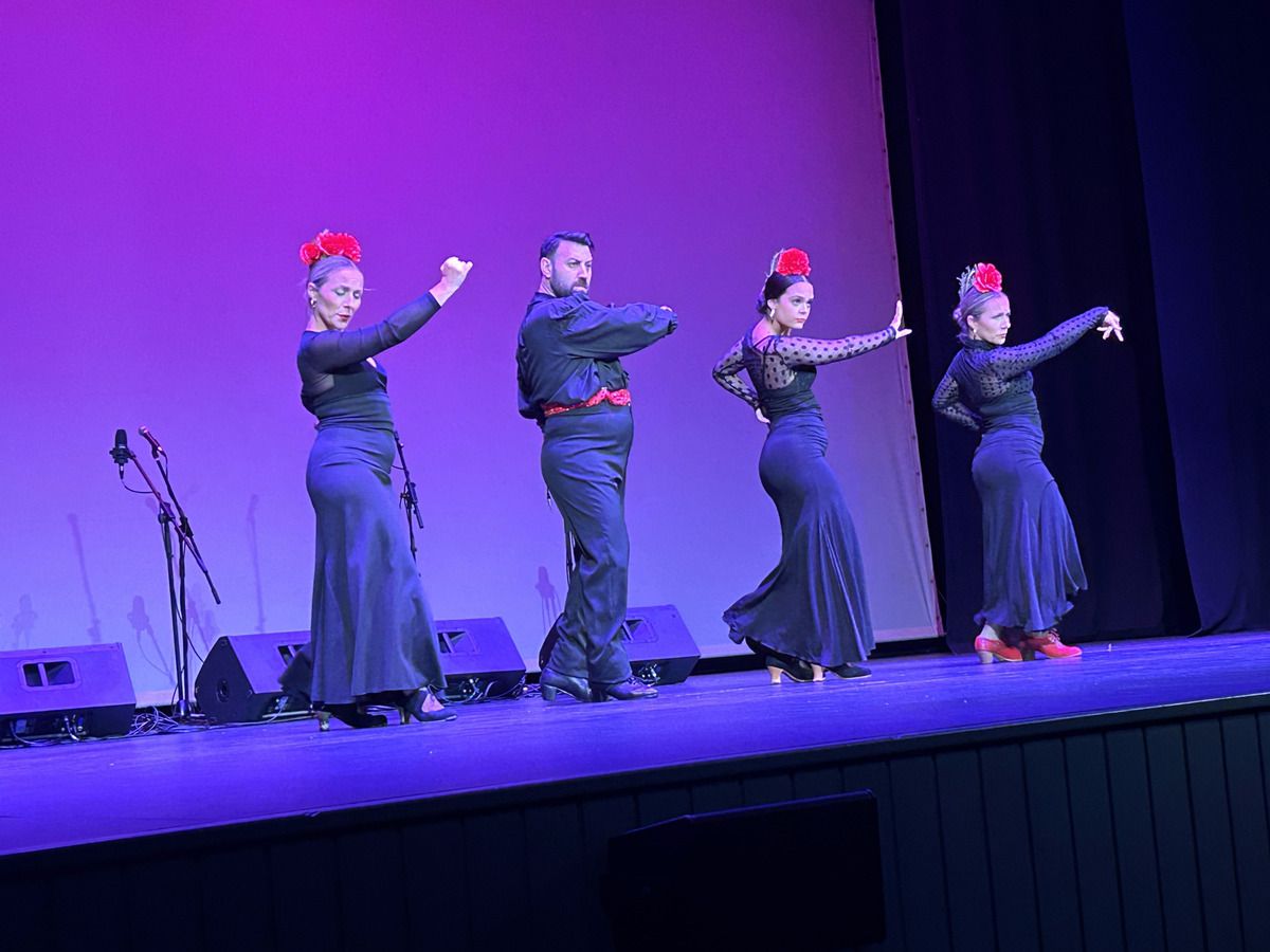 Amigos del Fandango de Punta y Tacón mantiene los bailes tradicionales en Endansar V.