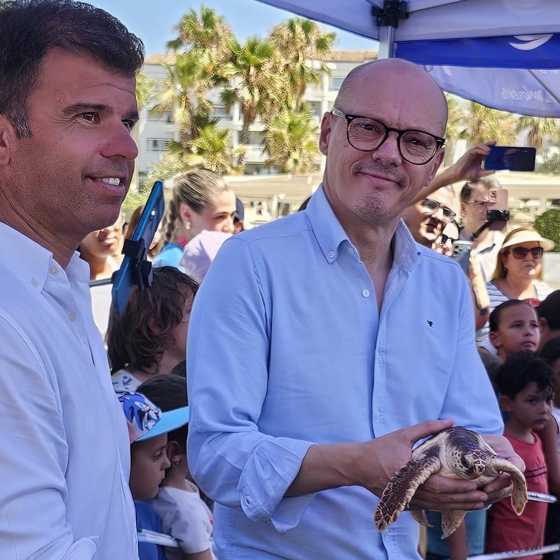 Sueltan a 49 tortugas boba recuperadas en el Cegma de Algeciras.