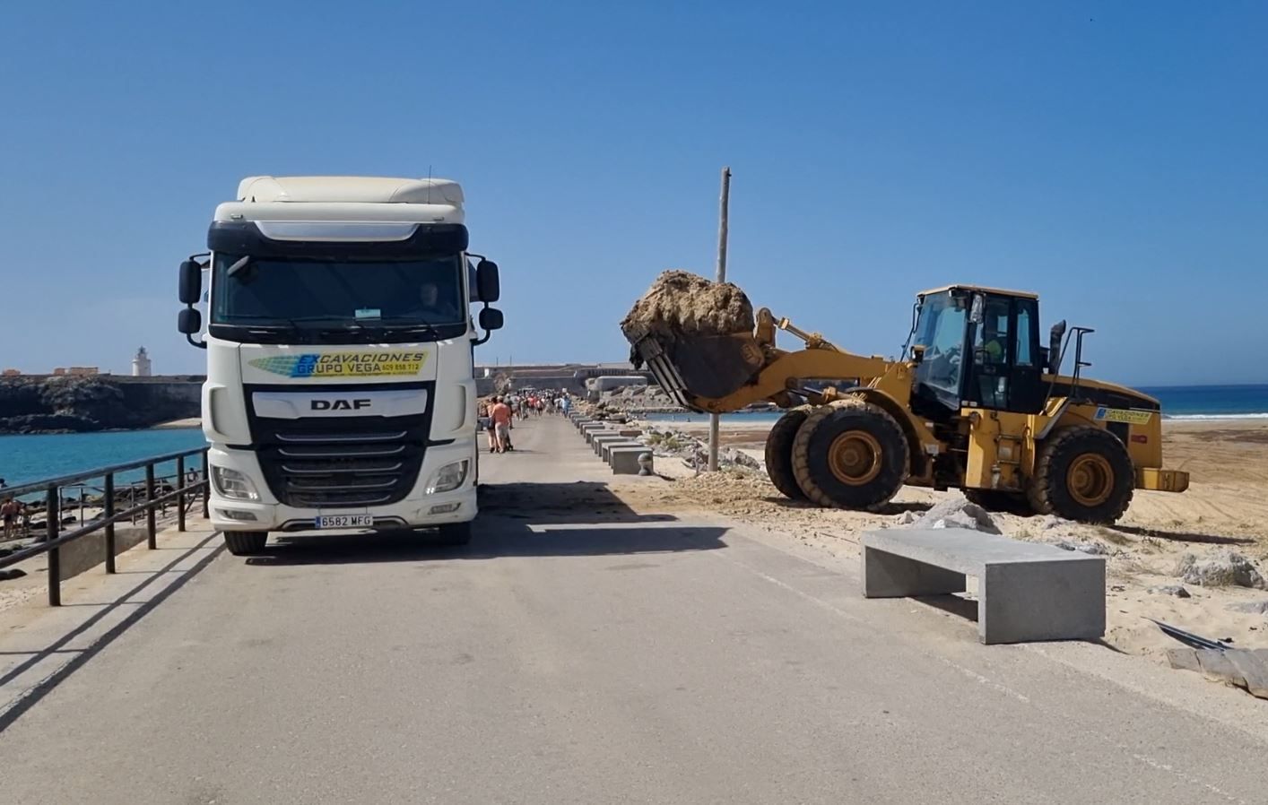 Tarifa retira más de 9.000 toneladas de algas asiáticas invasoras en lo que va de temporada