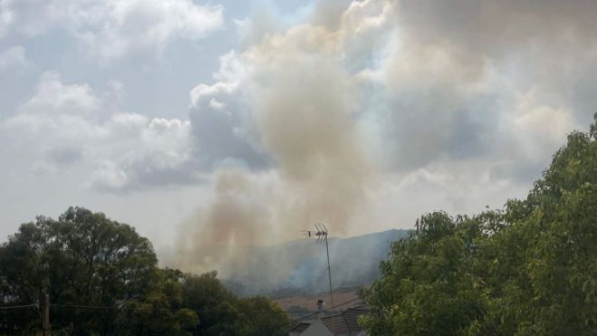 Declarado un incendio forestal en Algeciras