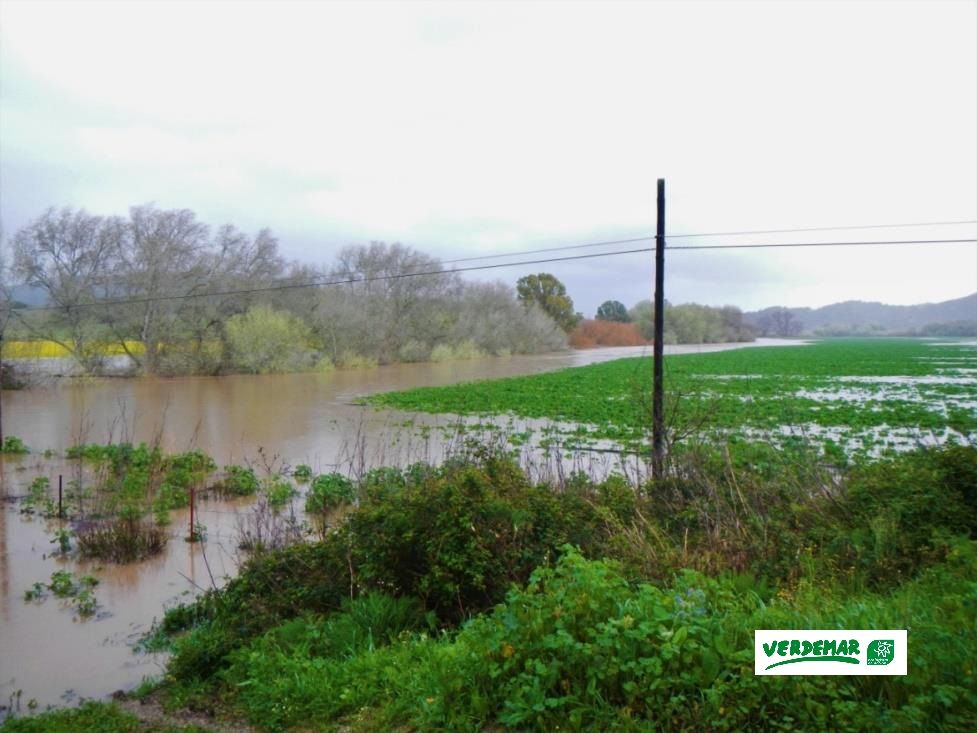 Rechazan la construcción de una planta solar en la vega del río Hozgarganta