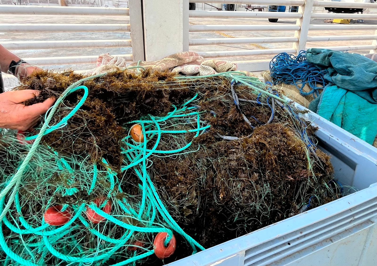 Un contenedor lleno de algas invasora, en el puerto pesquero de Tarifa. Foto: F.M. Titular: El alga asiática: mar abierto para invadir. 