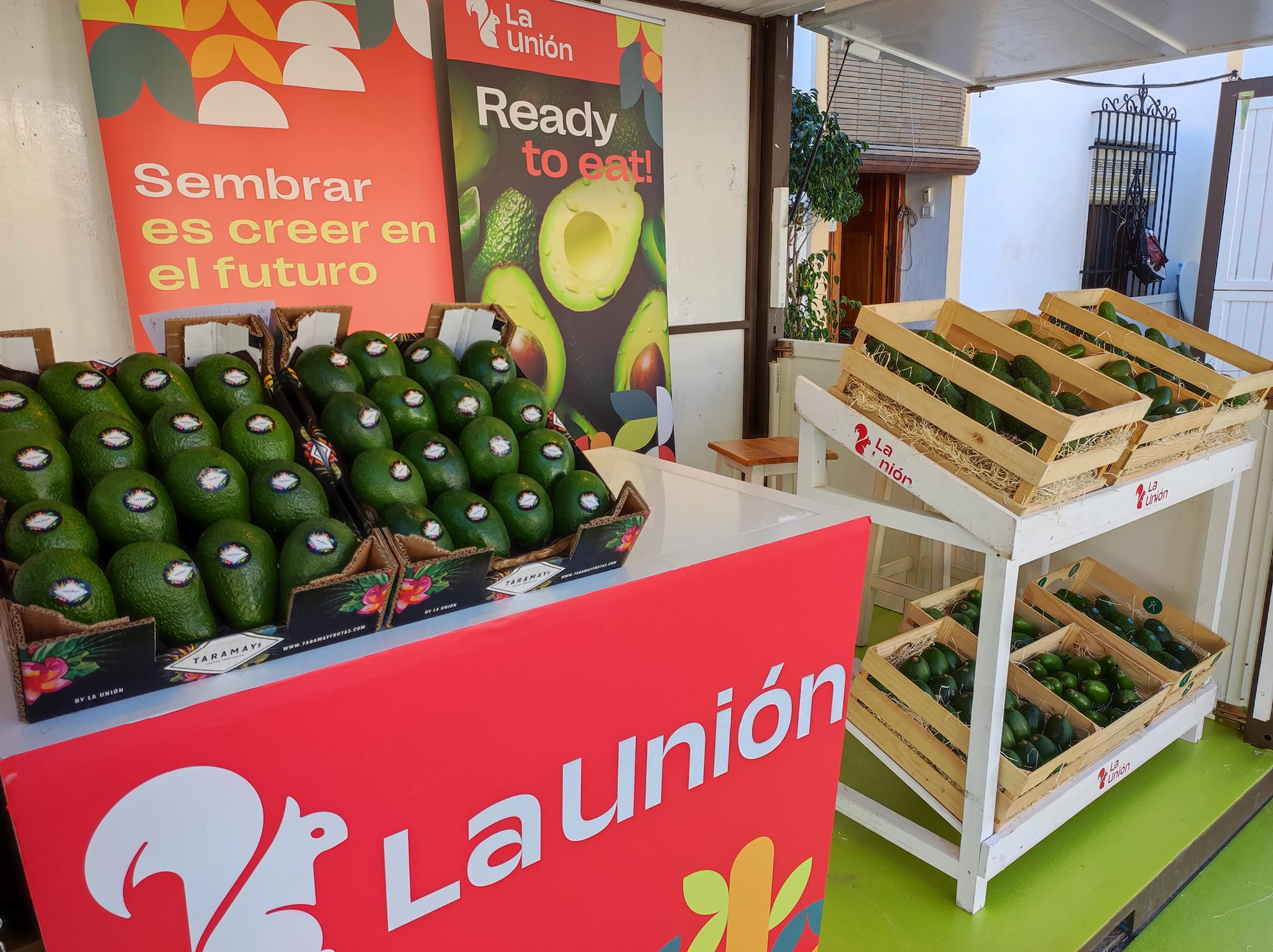 Imagen de la primera Feria del Cultivo del aguacate del Valle del Guadiaro, el año pasado. 