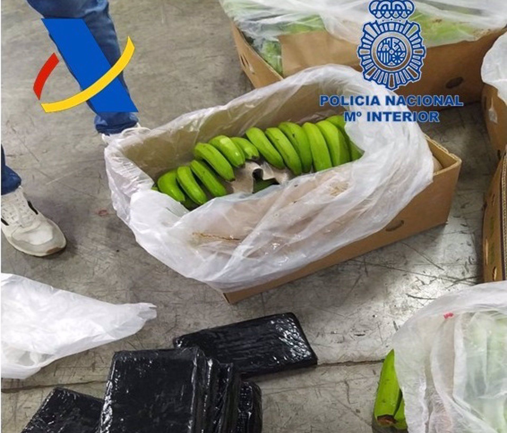 Intervenidas en el Puerto de Algeciras 13 toneladas de cocaína camufladas entre plátanos.