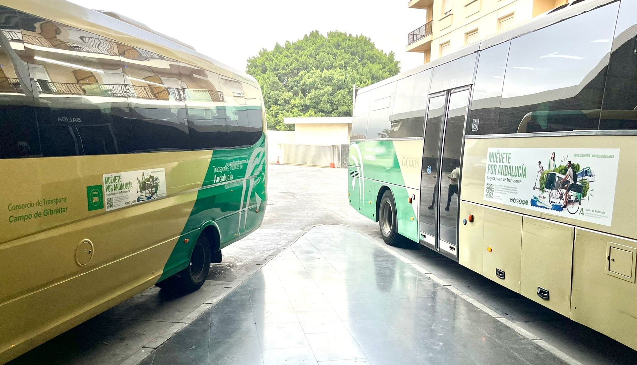 Demandan medidas ante los problemas de traslado de alumnos linenses que estudian en Algeciras.