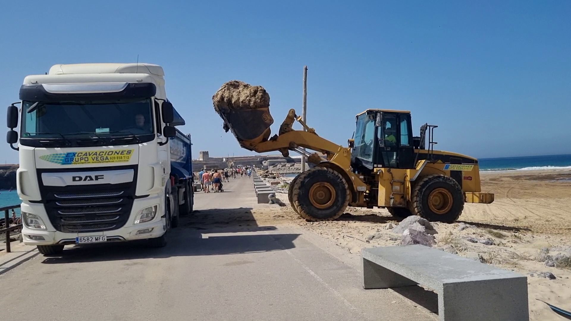 Tarifa retiró este verano un total de 11.387 toneladas de algas invasora.