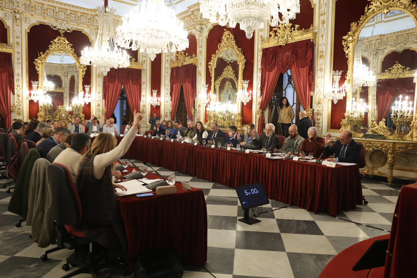 El pleno de Diputación apoya por unanimidad medidas para La Línea que incluyen "un régimen fiscal especial". Foto: Diputación de Cádiz. 