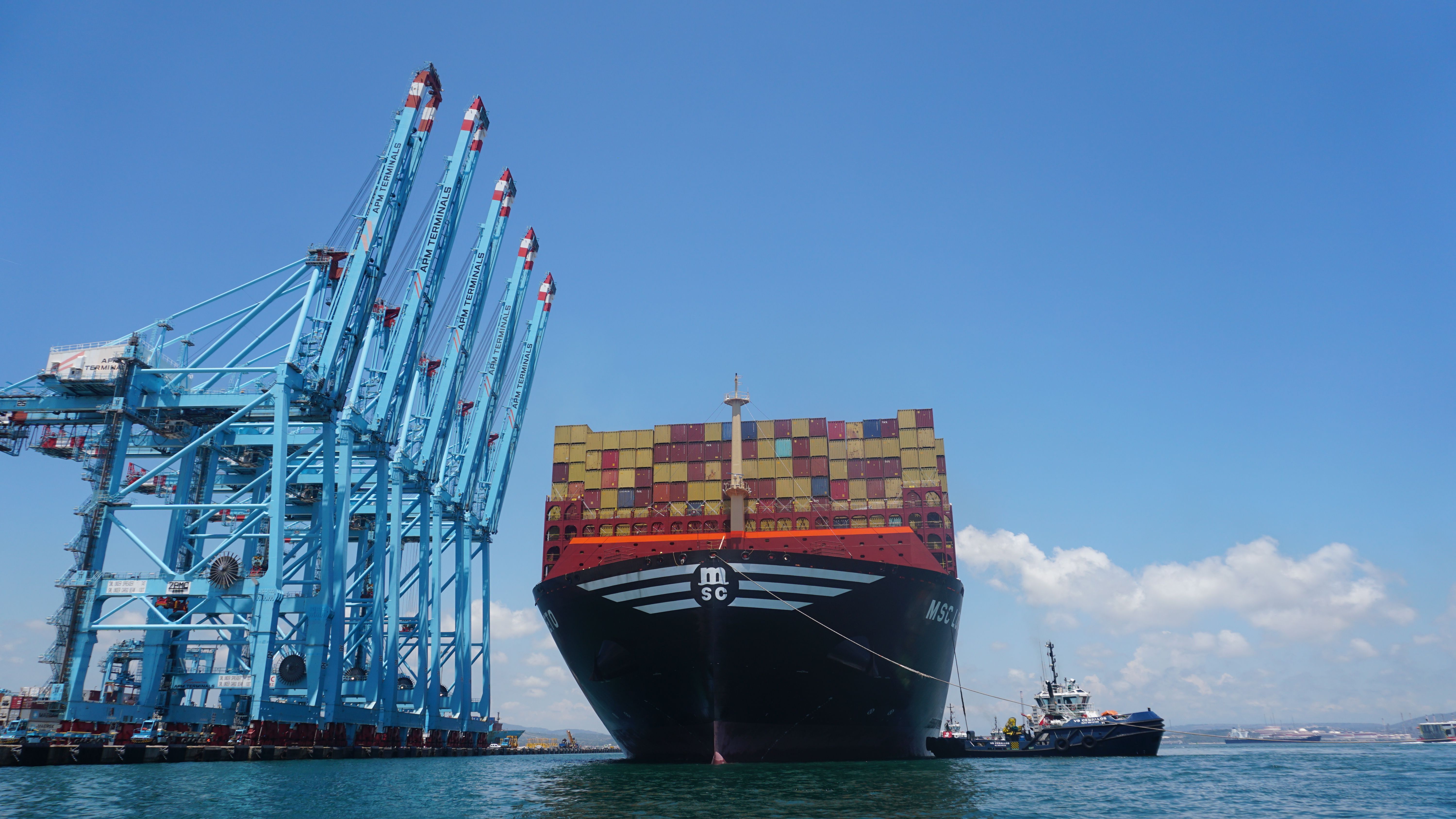 Muelle Juan Carlos I del Puerto Bahía de Algeciras. Foto: Francis Mena. Vox propone en Parlamento ayudas de Junta y Estado para puertos andaluces