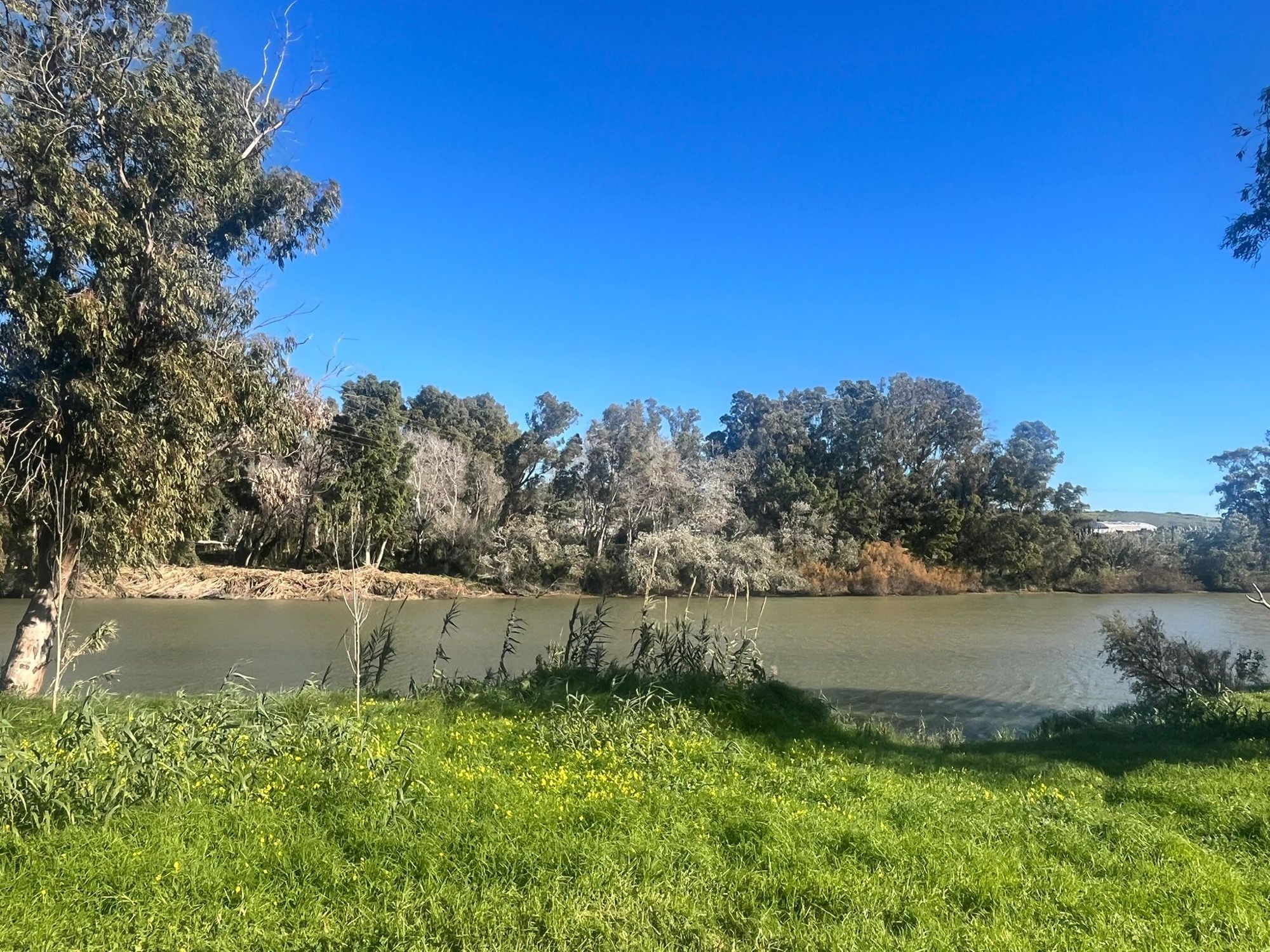 El alcalde de San Roque confía en iniciar pronto la construcción de la pasarela del río Guadiaro. 