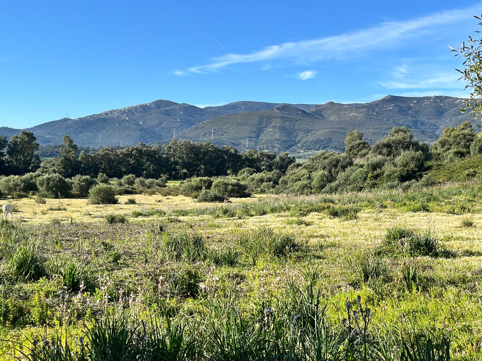 Cortijo de San Bernabé.